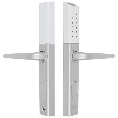 DH.S3B-C.STR digitální klika